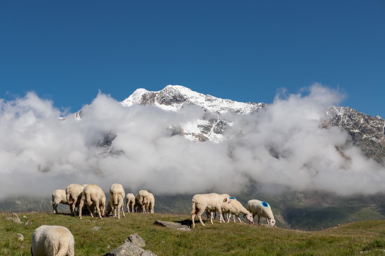 Natur-&Alpinhotel Post فنت المظهر الخارجي الصورة